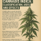 Cannabis indica informational poster with plant illustration.