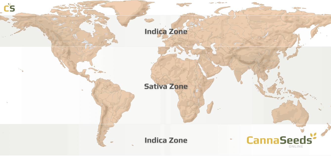 Marijuana Seeds Originmap